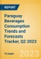 Paraguay Beverages Consumption Trends and Forecasts Tracker, Q2 2023 - Product Thumbnail Image