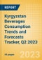 Kyrgyzstan Beverages Consumption Trends and Forecasts Tracker, Q2 2023 - Product Thumbnail Image