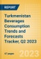 Turkmenistan Beverages Consumption Trends and Forecasts Tracker, Q2 2023 - Product Thumbnail Image