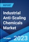 Industrial Anti-Scaling Chemicals Market Report by Type (Polymer-based, Phosphonate-based), End Use Industry (Oil, Gas and Mining, Wastewater Treatment, Food and Beverage, Pulp and Paper, and Others), and Region 2023-2028 - Product Image