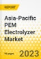 Asia-Pacific PEM Electrolyzer Market - Analysis and Forecast, 2022-2031 - Product Thumbnail Image