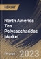 North America Tea Polysaccharides Market Size, Share & Industry Trends Analysis Report By Form (Powder, and Liquid), By Application (Food & Beverages Industry, Nutraceuticals Industry), By Type, By Country and Growth Forecast, 2023 - 2030 - Product Image