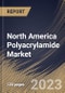 North America Polyacrylamide Market Size, Share & Industry Trends Analysis Report By Product (Anionic, Cationic, and Non-ionic), By Application (Water Treatment, Oil & Gas, Paper Making), By Country and Growth Forecast, 2023 - 2030 - Product Image