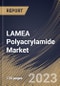 LAMEA Polyacrylamide Market Size, Share & Industry Trends Analysis Report By Product (Anionic, Cationic, and Non-ionic), By Application (Water Treatment, Oil & Gas, Paper Making), By Country and Growth Forecast, 2023 - 2030 - Product Image