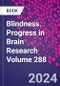 Blindness. Progress in Brain Research Volume 288 - Product Thumbnail Image