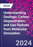 Understanding Geologic Carbon Sequestration and Gas Hydrate from Molecular Simulation- Product Image