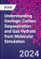Understanding Geologic Carbon Sequestration and Gas Hydrate from Molecular Simulation - Product Image