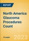 North America Glaucoma Procedures Count by Segments and Forecast to 2030 - Product Thumbnail Image