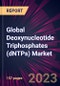Global Deoxynucleotide Triphosphates (dNTPs) Market 2024-2028 - Product Thumbnail Image
