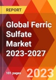 Global Ferric Sulfate Market 2023-2027- Product Image