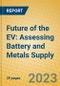 Future of the EV: Assessing Battery and Metals Supply - Product Thumbnail Image