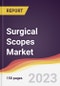 Surgical Scopes Market Report: Trends, Forecast and Competitive Analysis to 2030 - Product Thumbnail Image