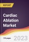 Cardiac Ablation Market Report: Trends, Forecast and Competitive Analysis to 2030 - Product Image