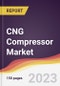 CNG Compressor Market Report: Trends, Forecast and Competitive Analysis to 2030 - Product Thumbnail Image