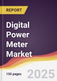 Digital Power Meter Market Report: Trends, Forecast and Competitive Analysis to 2030- Product Image