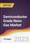 Semiconductor Grade Neon Gas Market Report: Trends, Forecast and Competitive Analysis to 2030 - Product Image