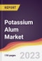 Potassium Alum Market Report: Trends, Forecast and Competitive Analysis to 2030 - Product Thumbnail Image