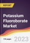 Potassium Fluoroborate Market Report: Trends, Forecast and Competitive Analysis to 2030 - Product Image