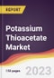 Potassium Thioacetate Market Report: Trends, Forecast and Competitive Analysis to 2030 - Product Thumbnail Image