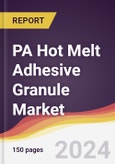 PA Hot Melt Adhesive Granule Market Report: Trends, Forecast and Competitive Analysis to 2030- Product Image