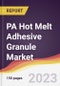 PA Hot Melt Adhesive Granule Market Report: Trends, Forecast and Competitive Analysis to 2030 - Product Image