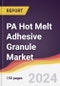 PA Hot Melt Adhesive Granule Market Report: Trends, Forecast and Competitive Analysis to 2030 - Product Image