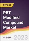 PBT Modified Compound Market Report: Trends, Forecast and Competitive Analysis to 2030- Product Image
