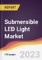 Submersible LED Light Market Report: Trends, Forecast and Competitive Analysis to 2030 - Product Thumbnail Image