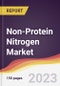 Non-Protein Nitrogen Market Report: Trends, Forecast and Competitive Analysis to 2030 - Product Thumbnail Image