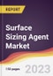 Surface Sizing Agent Market Report: Trends, Forecast and Competitive Analysis to 2030 - Product Image