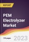 PEM Electrolyzer Market Report: Trends, Forecast and Competitive Analysis to 2030 - Product Thumbnail Image