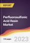 Perfluorosulfonic Acid Resin Market Report: Trends, Forecast and Competitive Analysis to 2030 - Product Image
