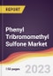 Phenyl Tribromomethyl Sulfone Market Report: Trends, Forecast and Competitive Analysis to 2030 - Product Image