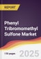 Phenyl Tribromomethyl Sulfone Market Report: Trends, Forecast and Competitive Analysis to 2030 - Product Image