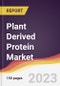 Plant Derived Protein Market Report: Trends, Forecast and Competitive Analysis to 2030 - Product Image