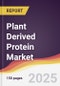 Plant Derived Protein Market Report: Trends, Forecast and Competitive Analysis to 2030 - Product Image