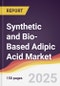 Synthetic & Bio-Based Adipic Acid Market Report: Trends, Forecast and Competitive Analysis to 2030 - Product Thumbnail Image