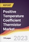 Positive Temperature Coefficient (PTC) Thermistor Market Report: Trends, Forecast and Competitive Analysis to 2030 - Product Image