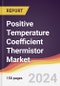 Positive Temperature Coefficient (PTC) Thermistor Market Report: Trends, Forecast and Competitive Analysis to 2030 - Product Image