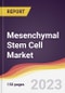 Mesenchymal Stem Cell Market Report: Trends, Forecast and Competitive Analysis to 2030 - Product Thumbnail Image