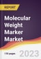 Molecular Weight Marker Market Report: Trends, Forecast and Competitive Analysis to 2030 - Product Thumbnail Image