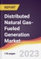 Distributed Natural Gas-Fueled Generation Market Report: Trends, Forecast and Competitive Analysis to 2030 - Product Image