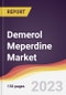 Demerol Meperdine Market Report: Trends, Forecast and Competitive Analysis to 2030 - Product Image