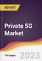 Private 5G Market Report: Trends, Forecast and Competitive Analysis to 2030 - Product Thumbnail Image