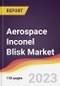 Aerospace Inconel Blisk Market Report: Trends, Forecast and Competitive Analysis to 2030 - Product Thumbnail Image