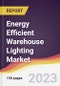 Energy Efficient Warehouse Lighting Market Report: Trends, Forecast and Competitive Analysis to 2030 - Product Image