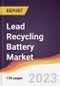 Lead Recycling Battery Market Report: Trends, Forecast and Competitive Analysis to 2030 - Product Thumbnail Image