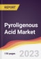 Pyroligenous Acid Market Report: Trends, Forecast and Competitive Analysis to 2030 - Product Image