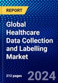 Global Healthcare Data Collection and Labelling Market (2023-2028) Competitive Analysis, Impact of Covid-19, Ansoff Analysis- Product Image