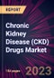 Chronic Kidney Disease (CKD) Drugs Market 2024-2028 - Product Thumbnail Image